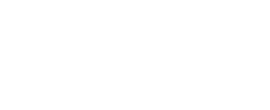 The New Feminist